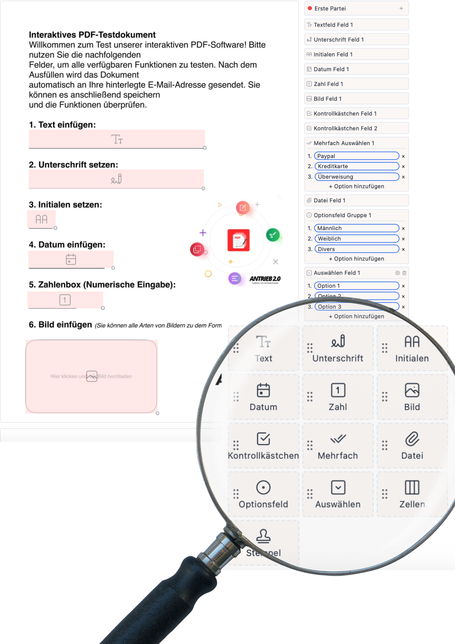 PDF-Form Schritt 3